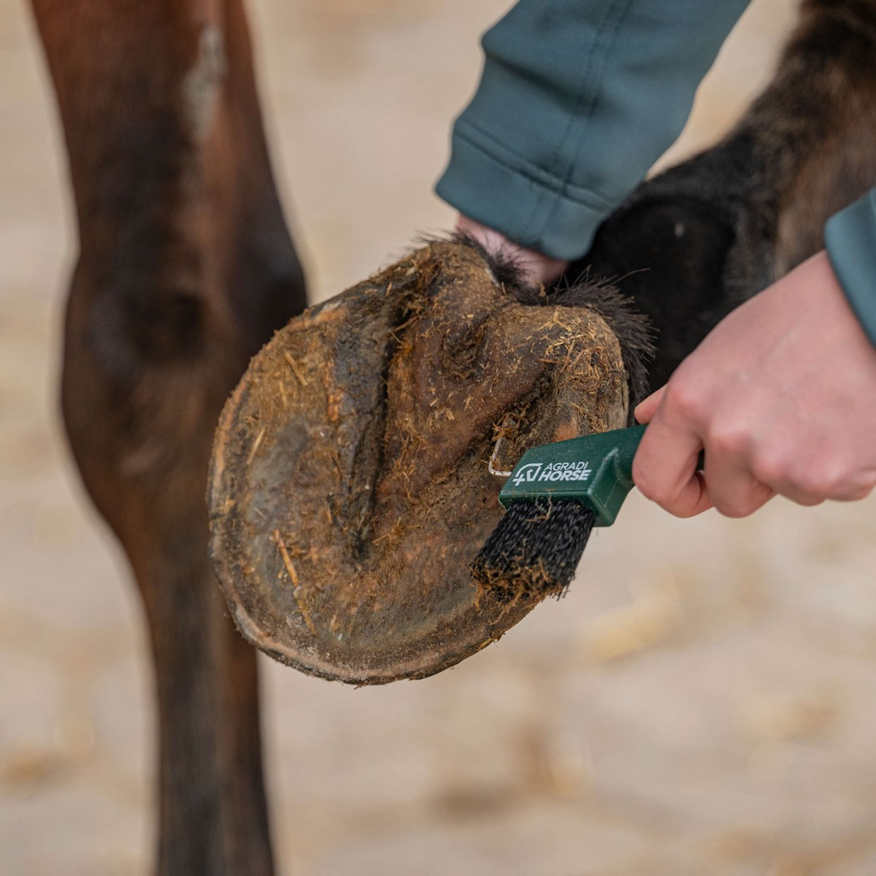 Agradi Horse Hoof Pick Fir Green