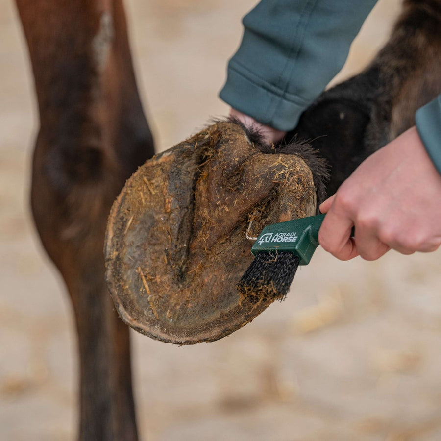 Agradi Horse Hoof Pick Fir Green