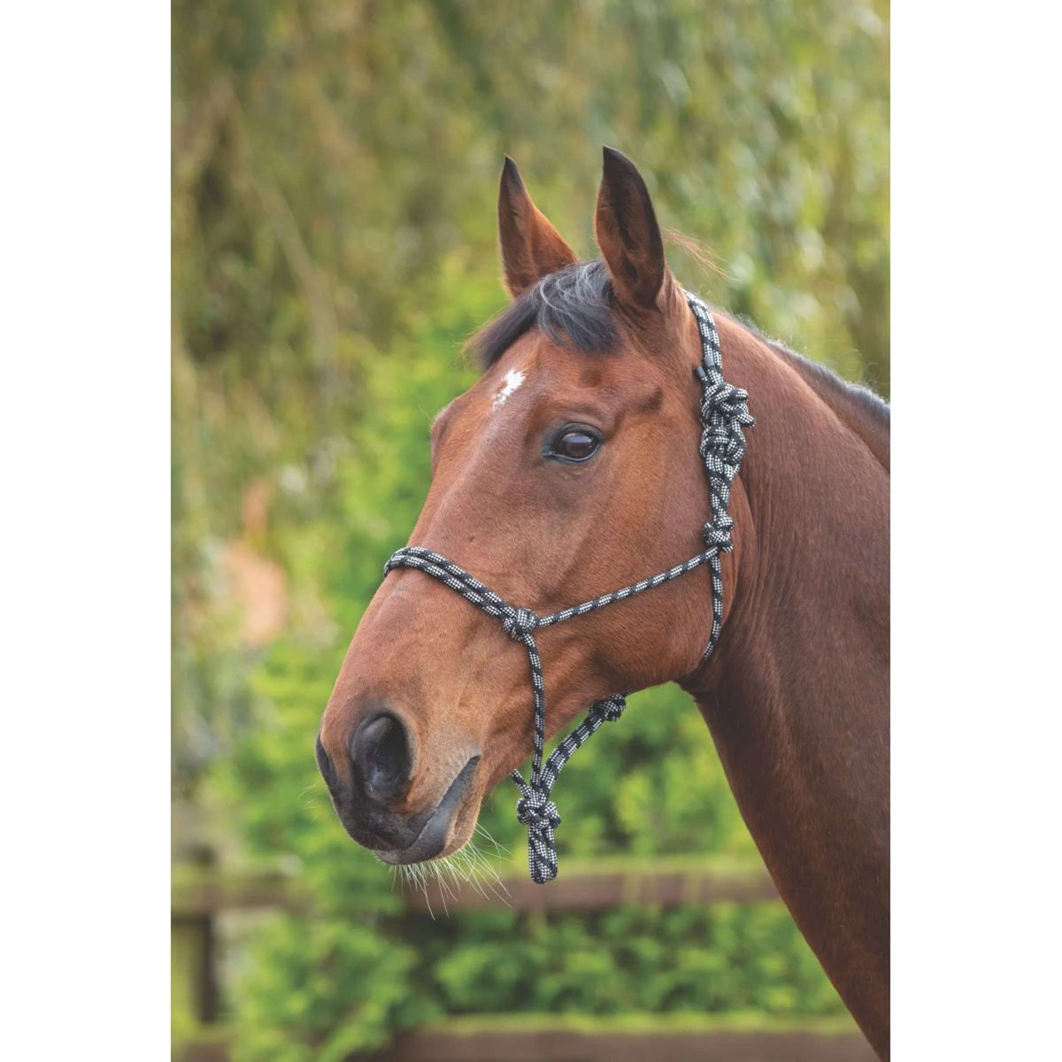 Shires Rope Halter Control Black/White