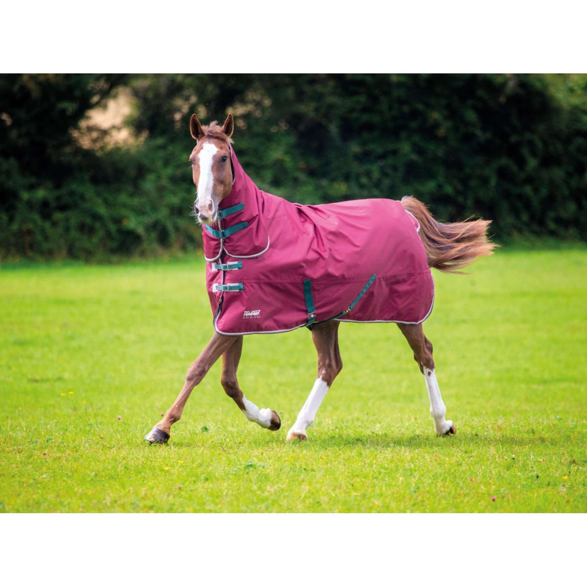 Tempest Original Winter Rug Turnout 200g Combo Maroon