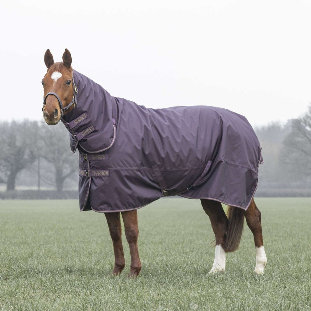Tempest Winter Rug Turnout Typhoon 100g Black Cherry