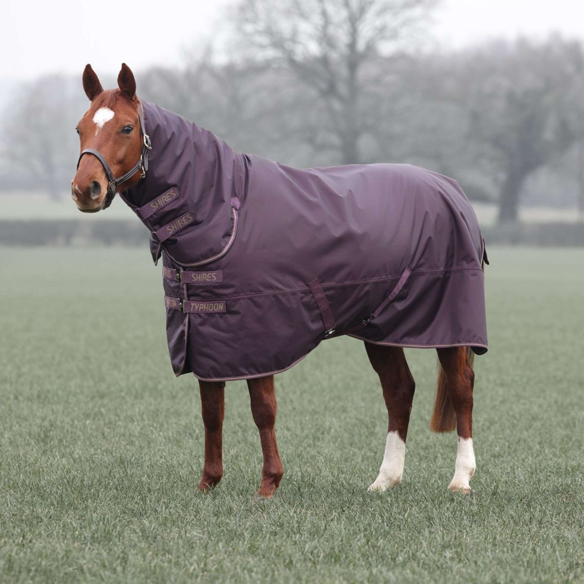 Tempest Winter Rug Turnout Typhoon 100g Black Cherry