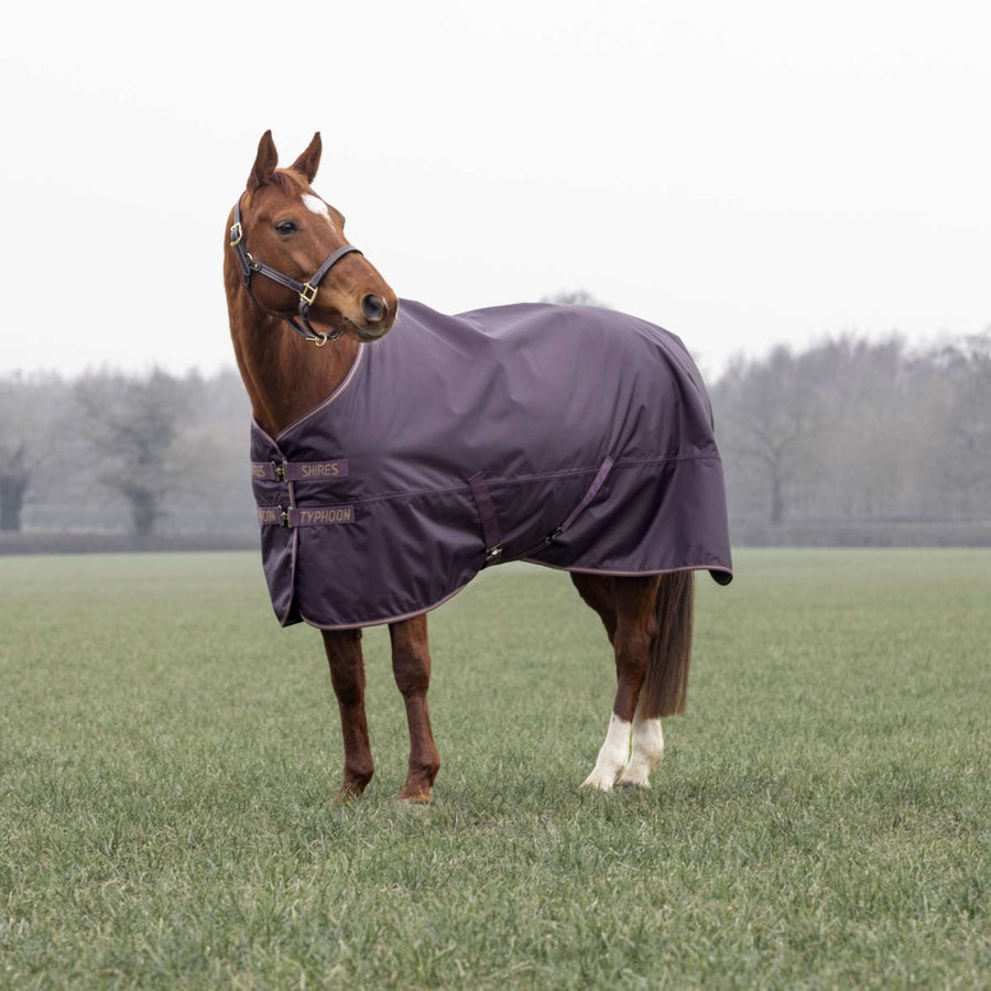 Tempest by Shires Winter Rug Turnout Typhoon 100g Black Cherry