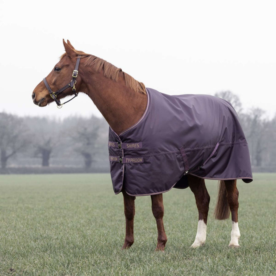 Tempest by Shires Winter Rug Turnout Typhoon 100g Black Cherry