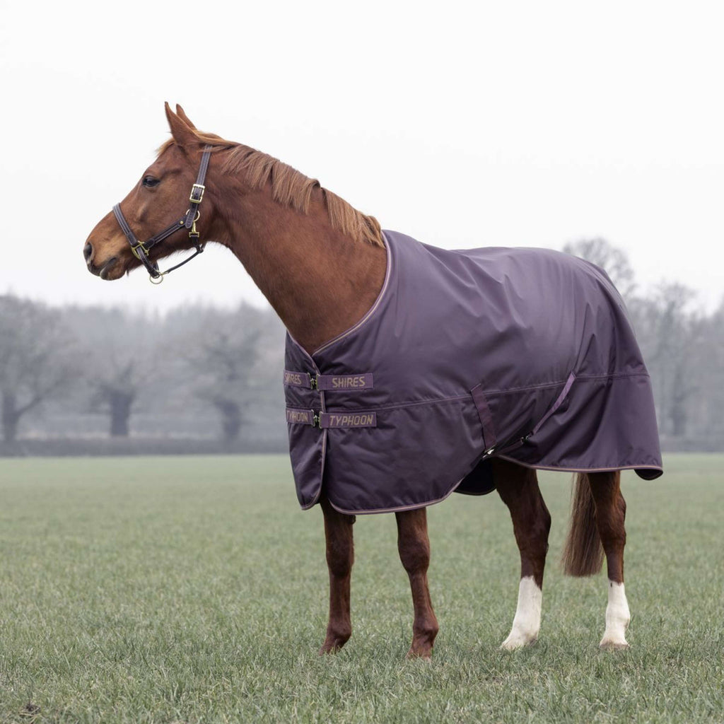 Tempest Winter Rug Turnout Typhoon 100g Black Cherry