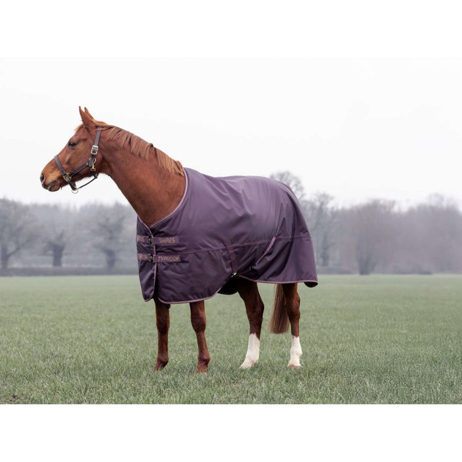Tempest by Shires Winter Rug Turnout Typhoon 100g Black Cherry