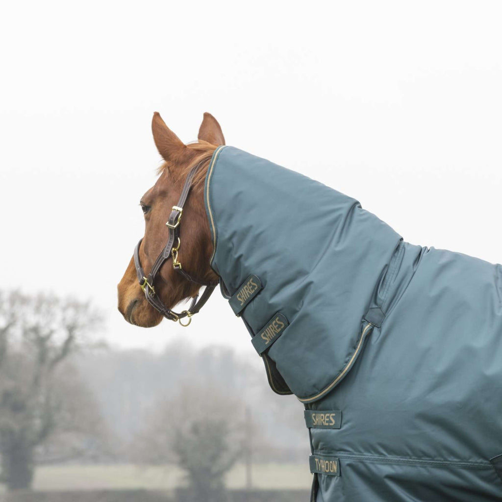 Tempest by Shires Winter Rug Turnout Typhoon Combo 200g Green