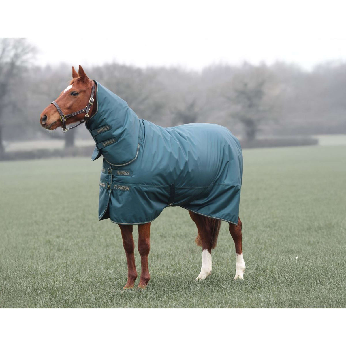 Tempest Winter Rug Turnout Typhoon Combo 200g Green