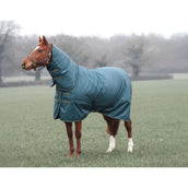 Tempest Winter Rug Turnout Typhoon Combo 200g Green