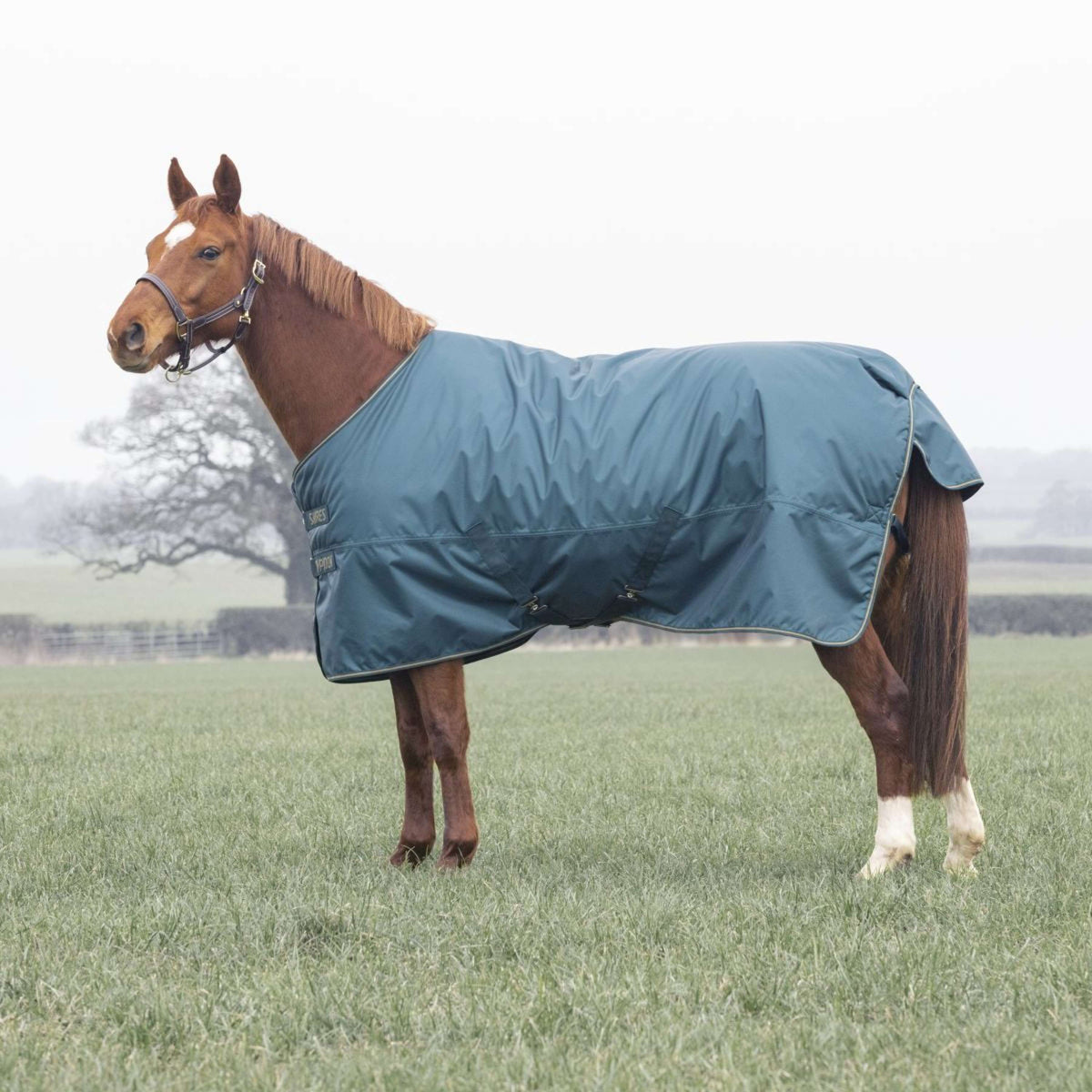 Tempest Winter Rug Turnout Typhoon 200g Green