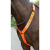 Equi-Flector by Shires Front Strap Reflective Orange