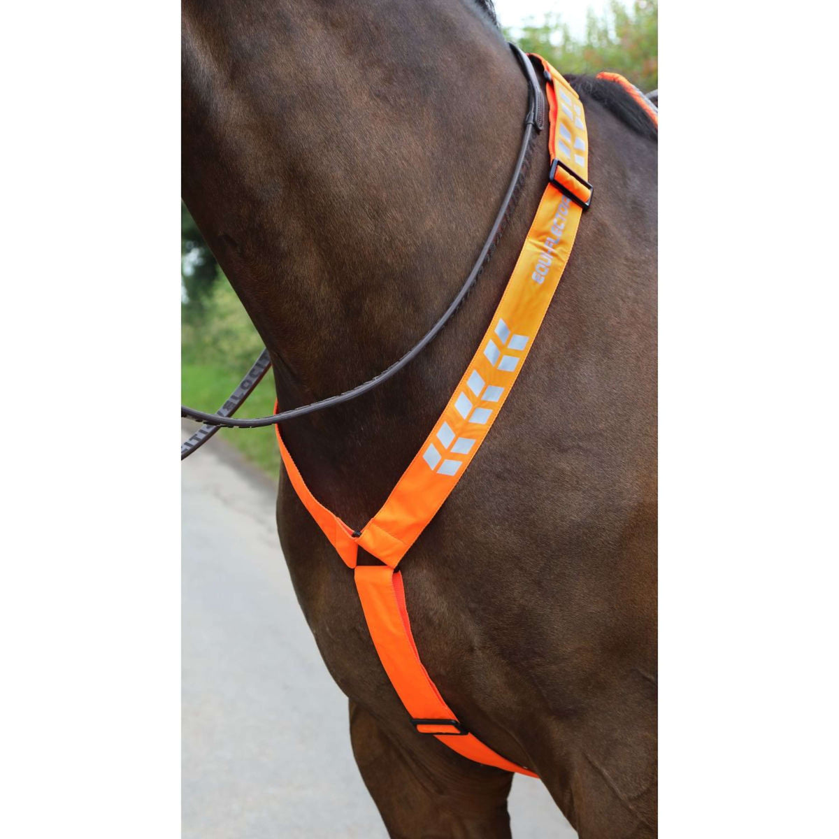 Equi-Flector Front Strap Reflective Orange