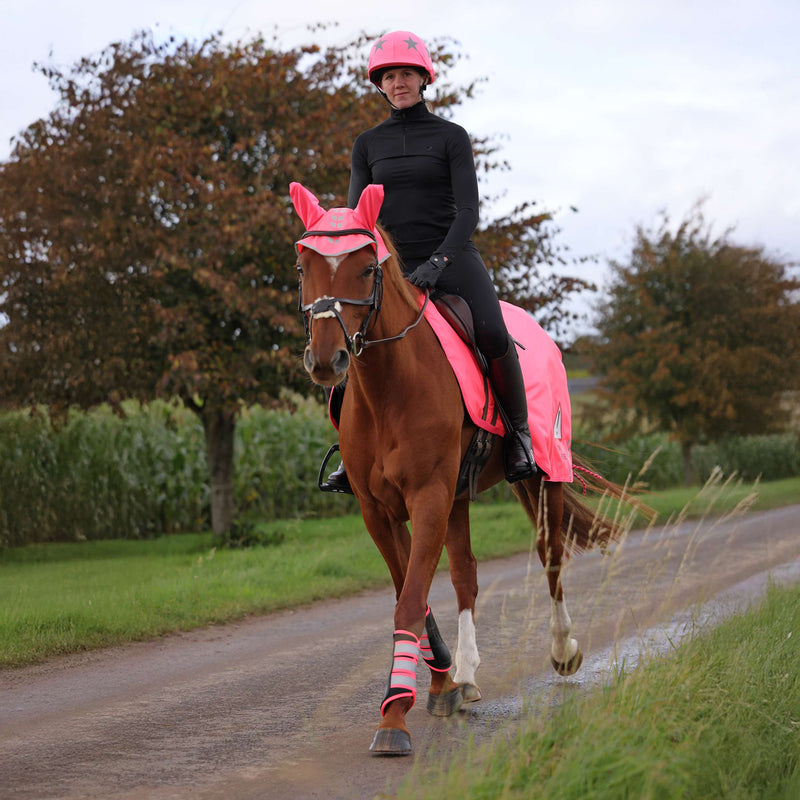 Shires Equi-Flector Pink