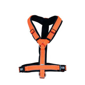 Sprenger Foal Harness Orange