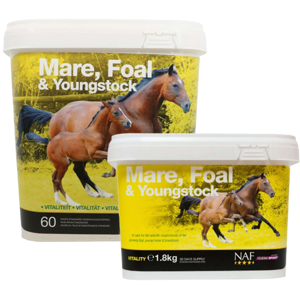 NAF Mare Foal & Youngstock