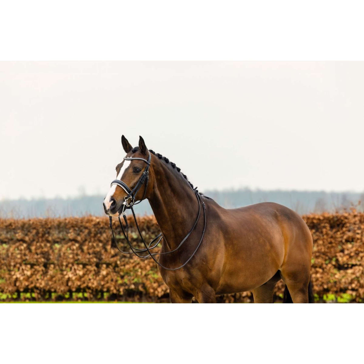 Trust Double Bridle Aachen Black/Silver