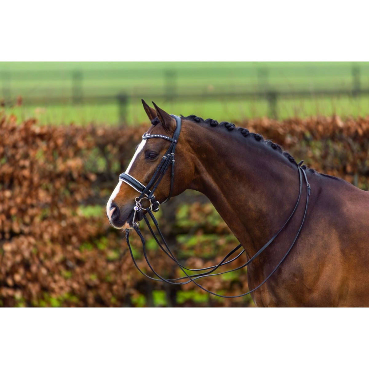 Trust Double Bridle Aachen Black/Silver