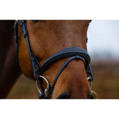 Trust Bridle Amsterdam brown/gold