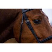 Trust Bridle Amsterdam brown/gold