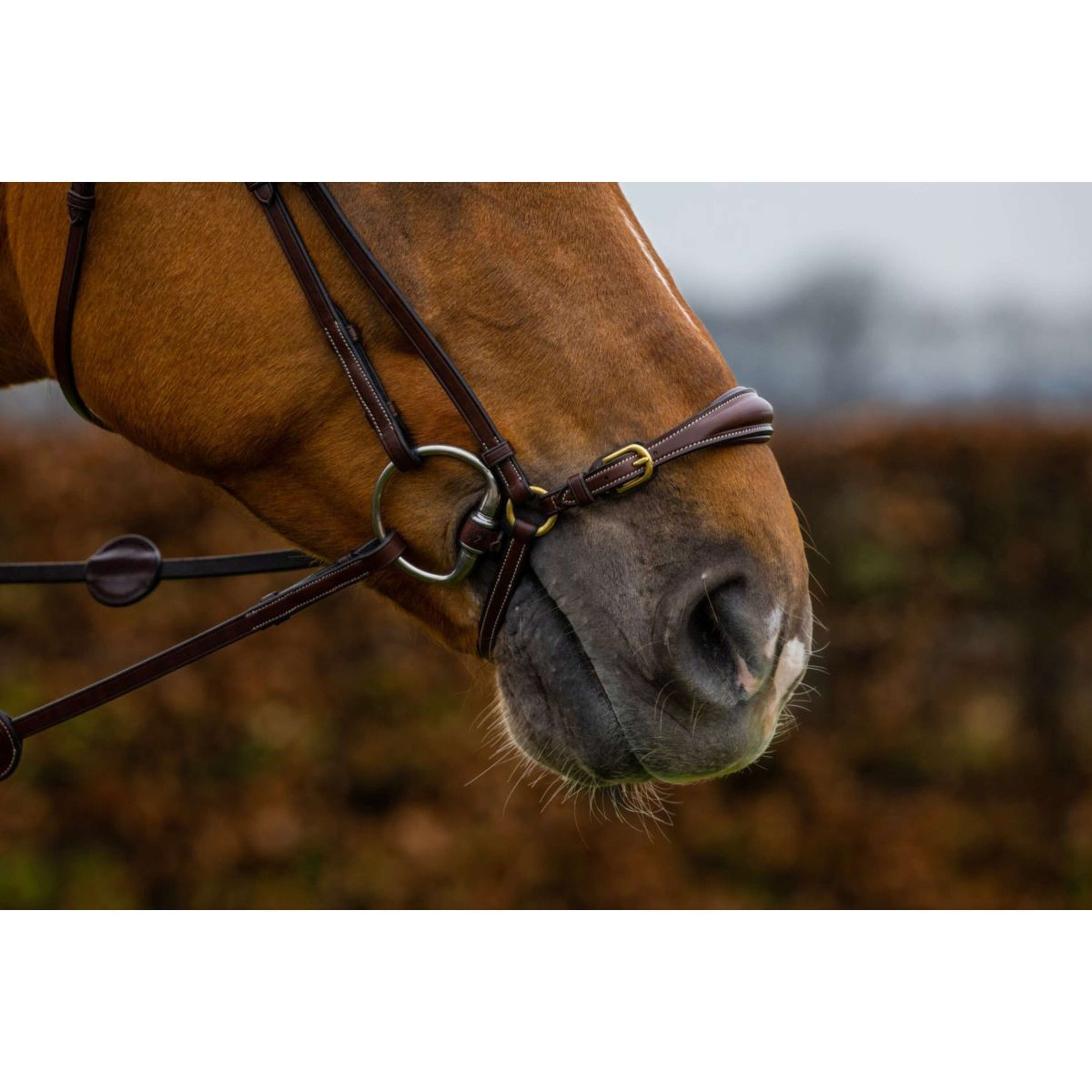 Trust Bridle Barcelona Brown/Silver