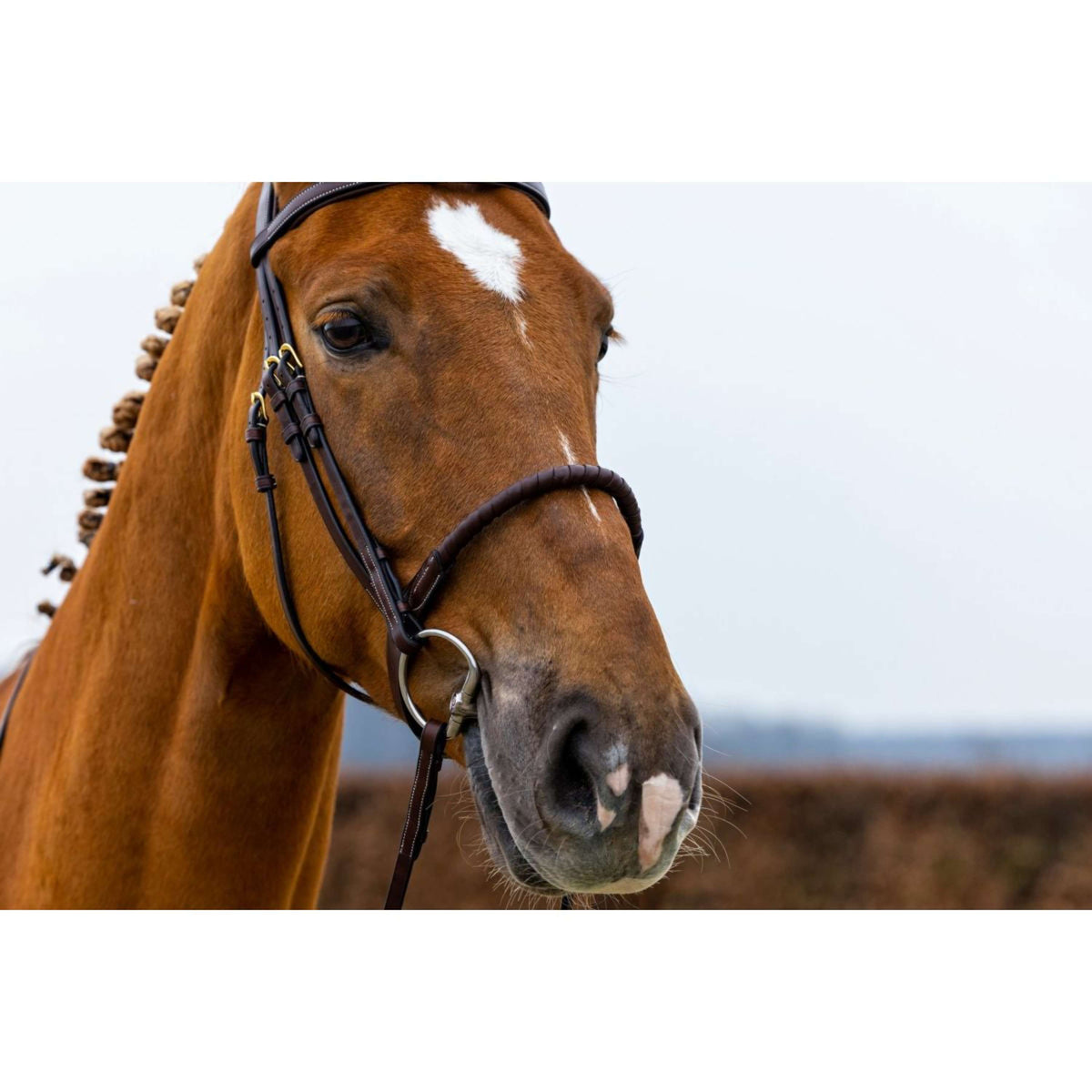 Trust Bridle Dublin brown/gold