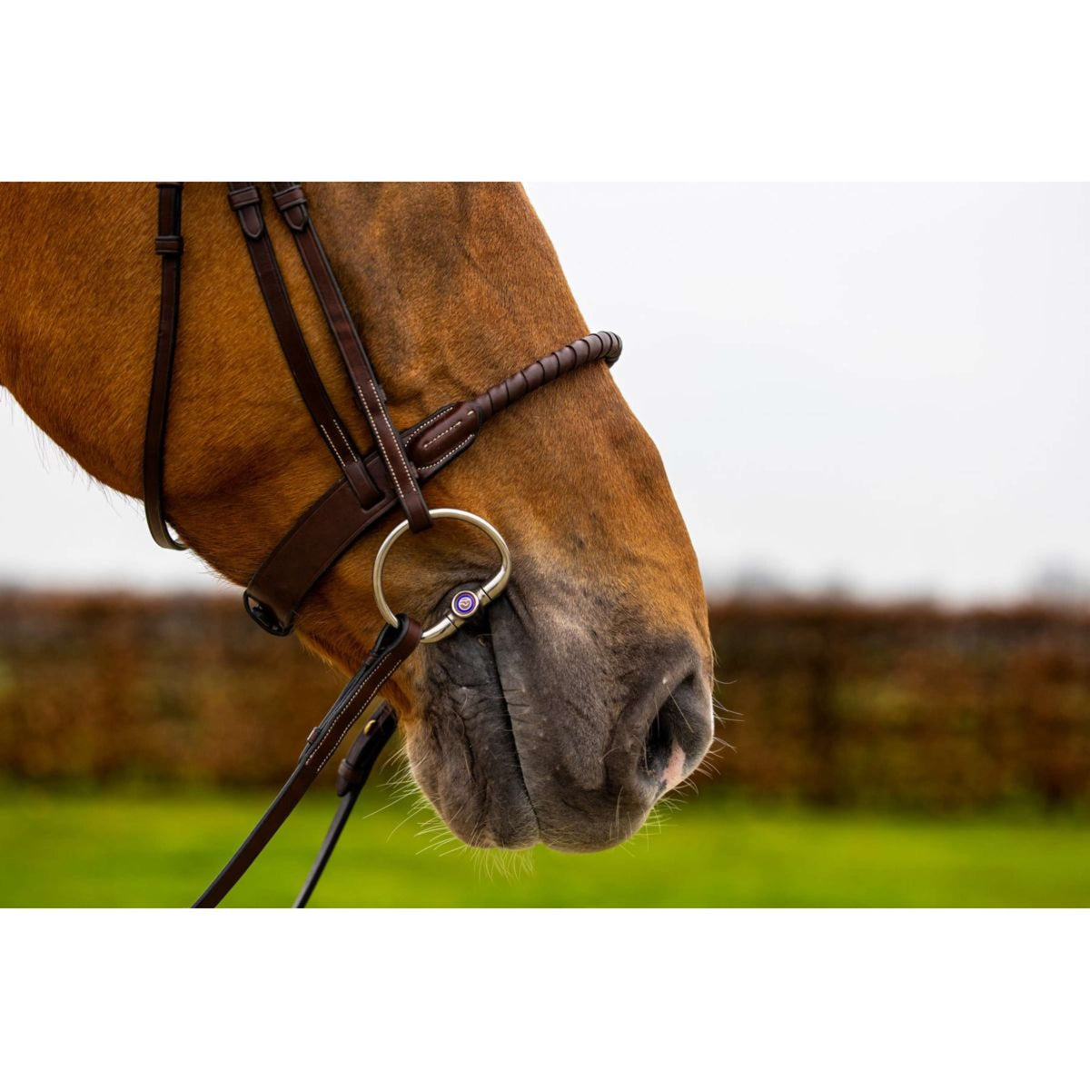 Trust Bridle Dublin Brown/Silver