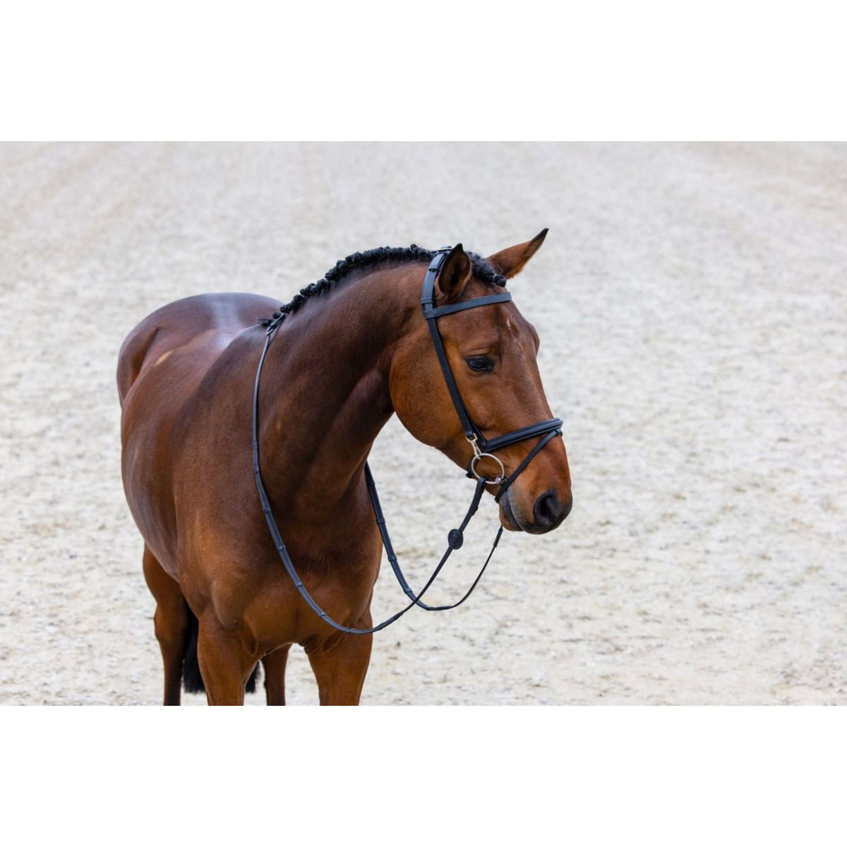 Trust Bridle Hamburg Brown/Silver