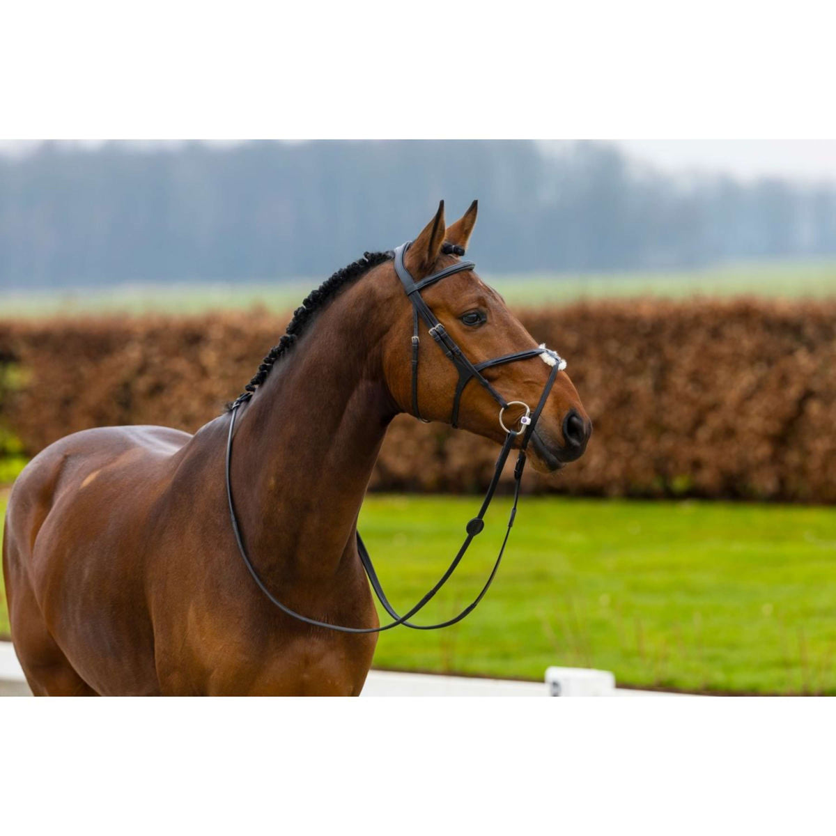 Trust Mexican Bridle Oslo brown/gold