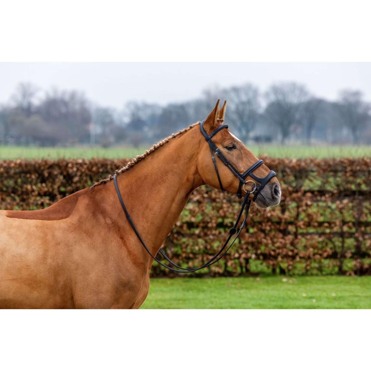 Trust Bridle Paris Black/Silver