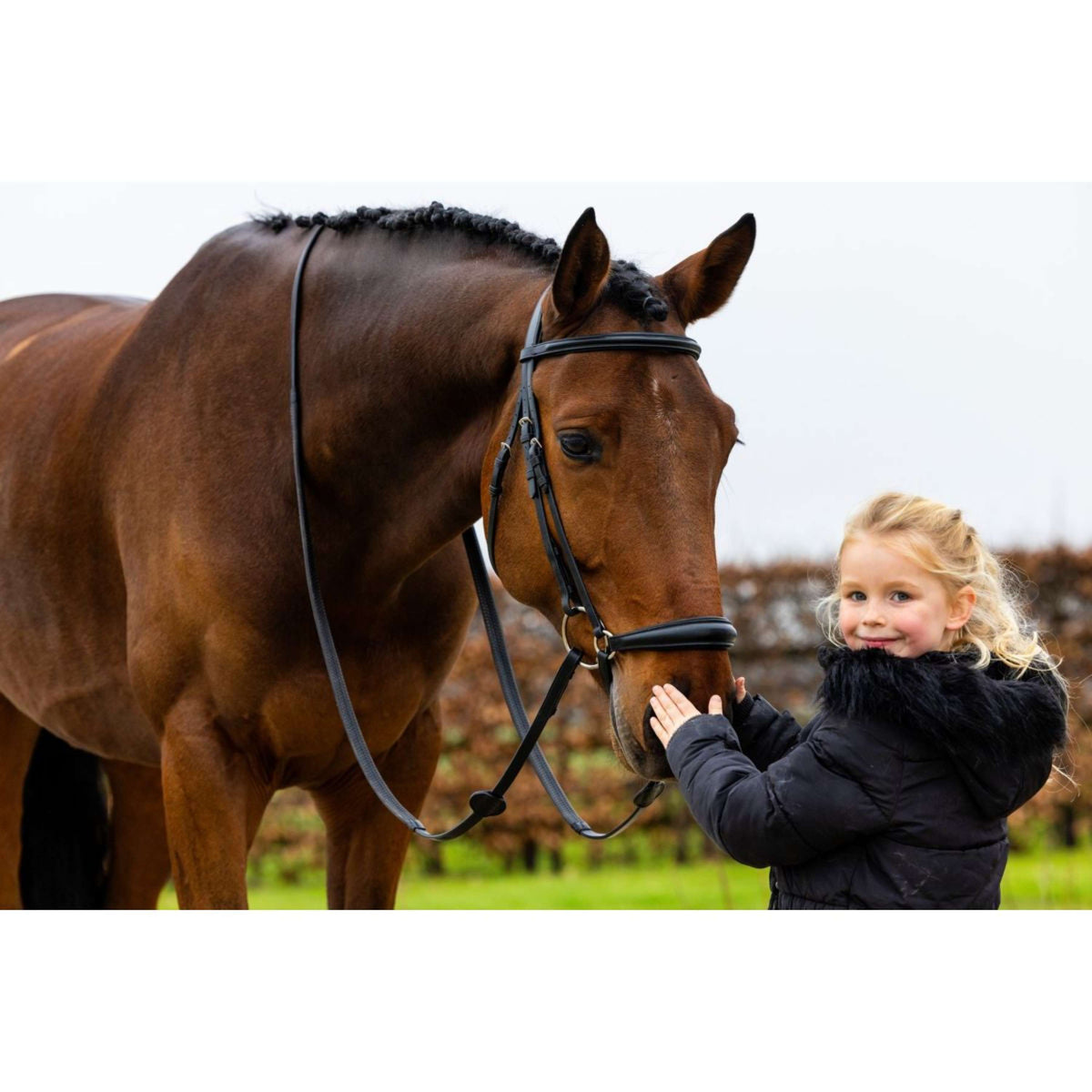 Trust Bridle Rome Black/Silver