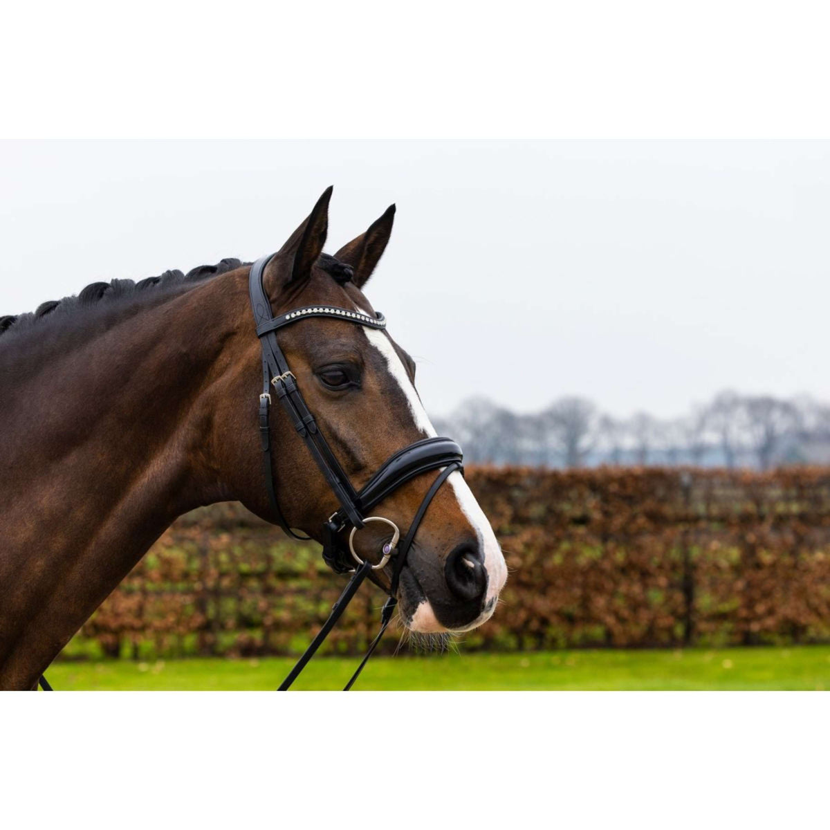 Trust Bridle Rotterdam Black/Silver