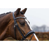 Trust Bridle Rotterdam Black/Silver