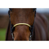 Trust Bridle St. Gallen brown/gold