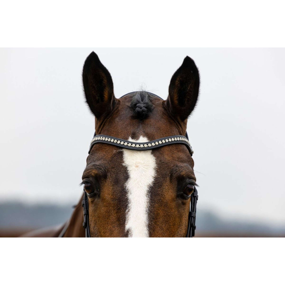 Trust Bridle Verden Black/Silver/White