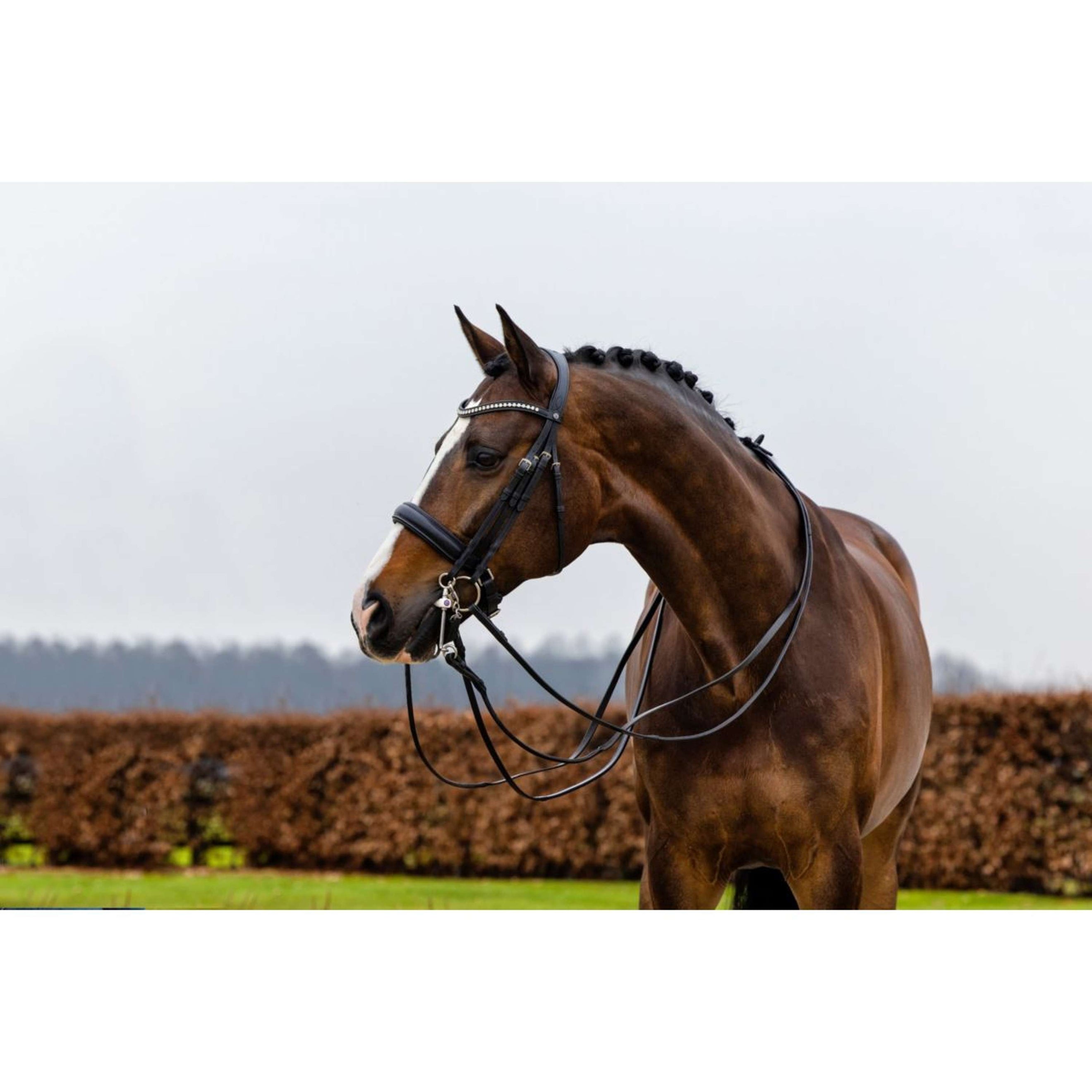 Trust Double Bridle Wellington Black/Silver Trust Double Bridle Wellington Black/Silver