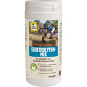 VITALstyle Electrolytes Mix Horse