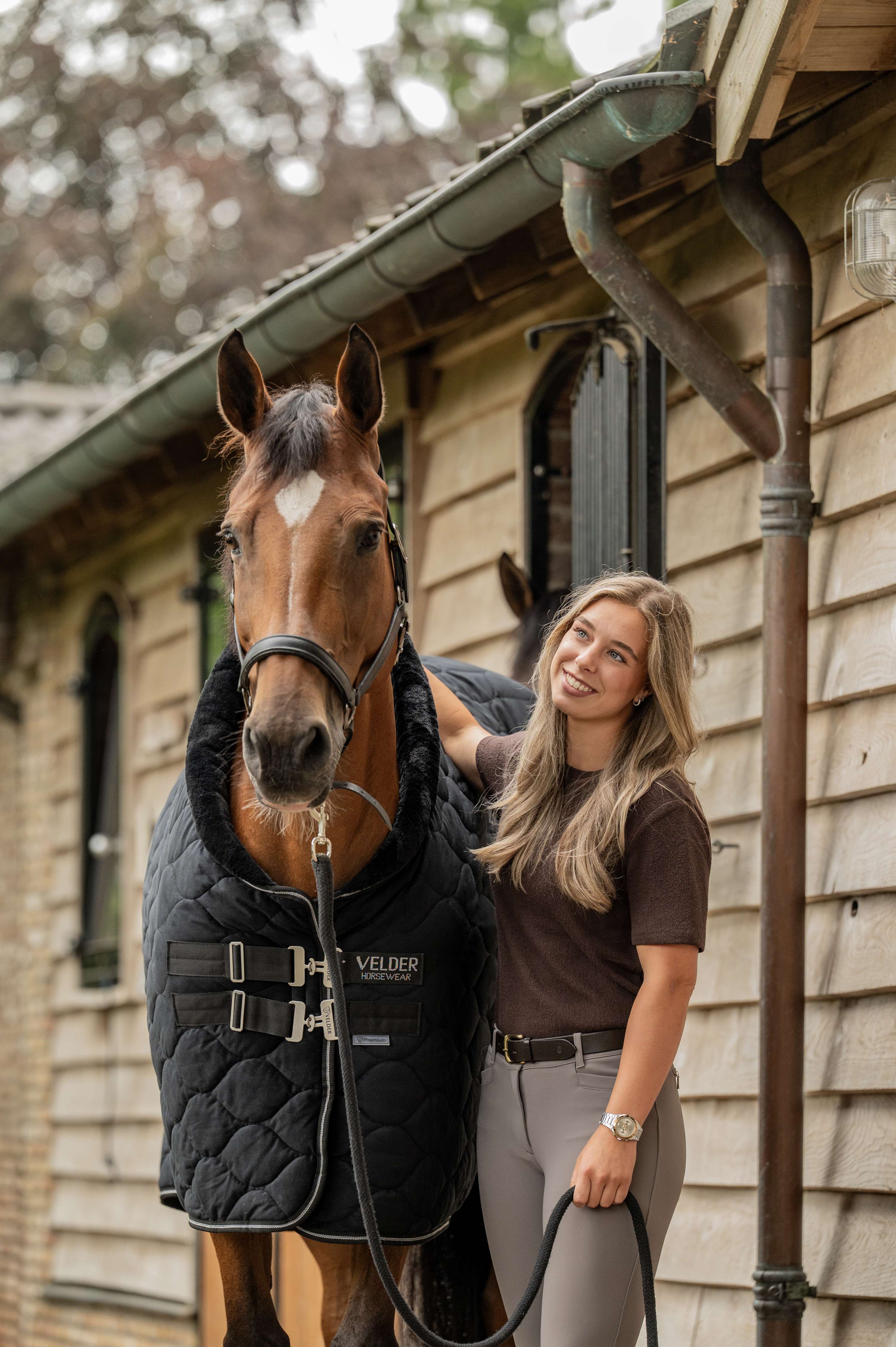 Velder Horsewear Premium Show Rug Satin Glow Black Night