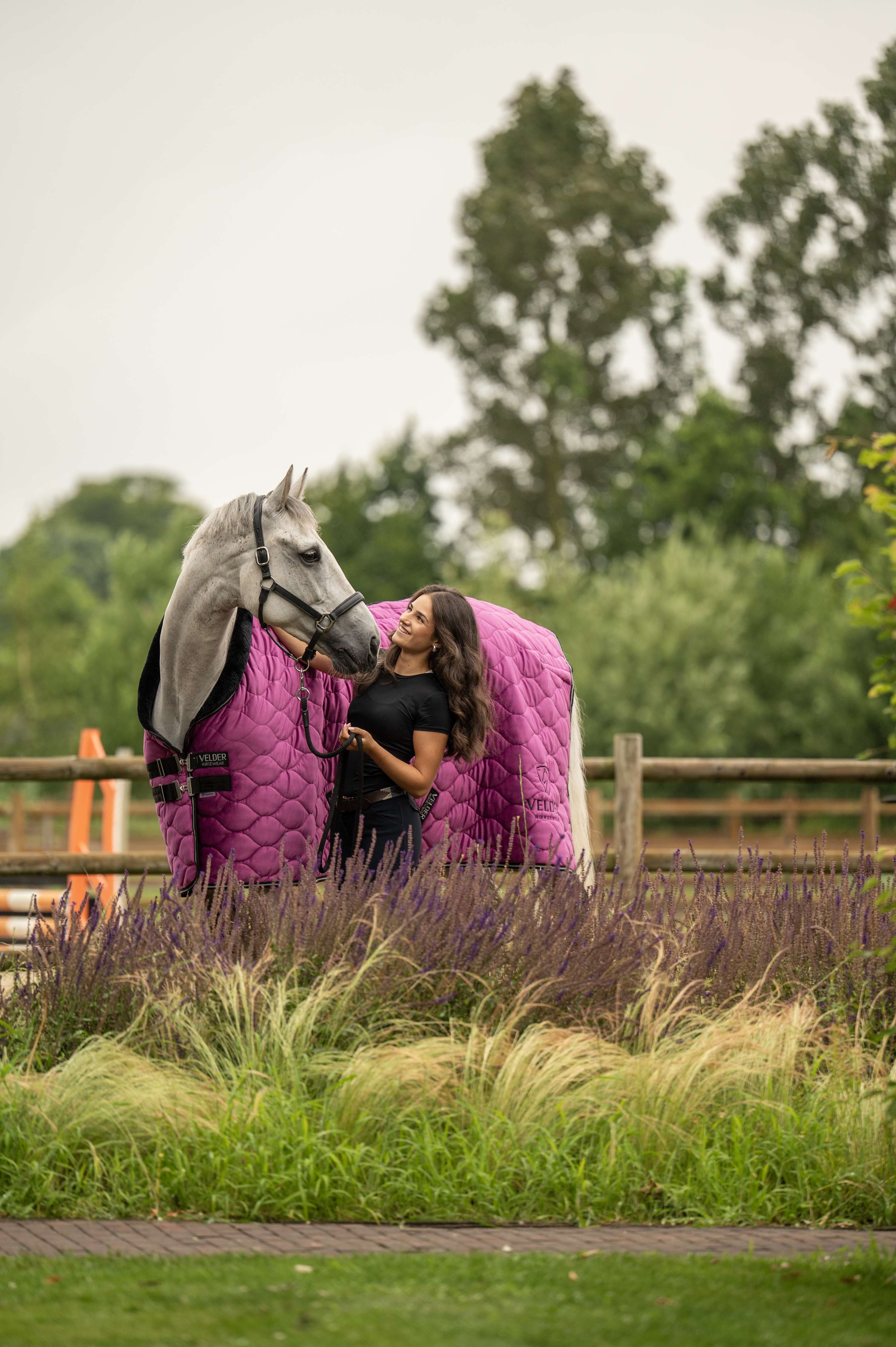 Velder Horsewear Premium Show Rug Satin Glow Dutch Raspberry