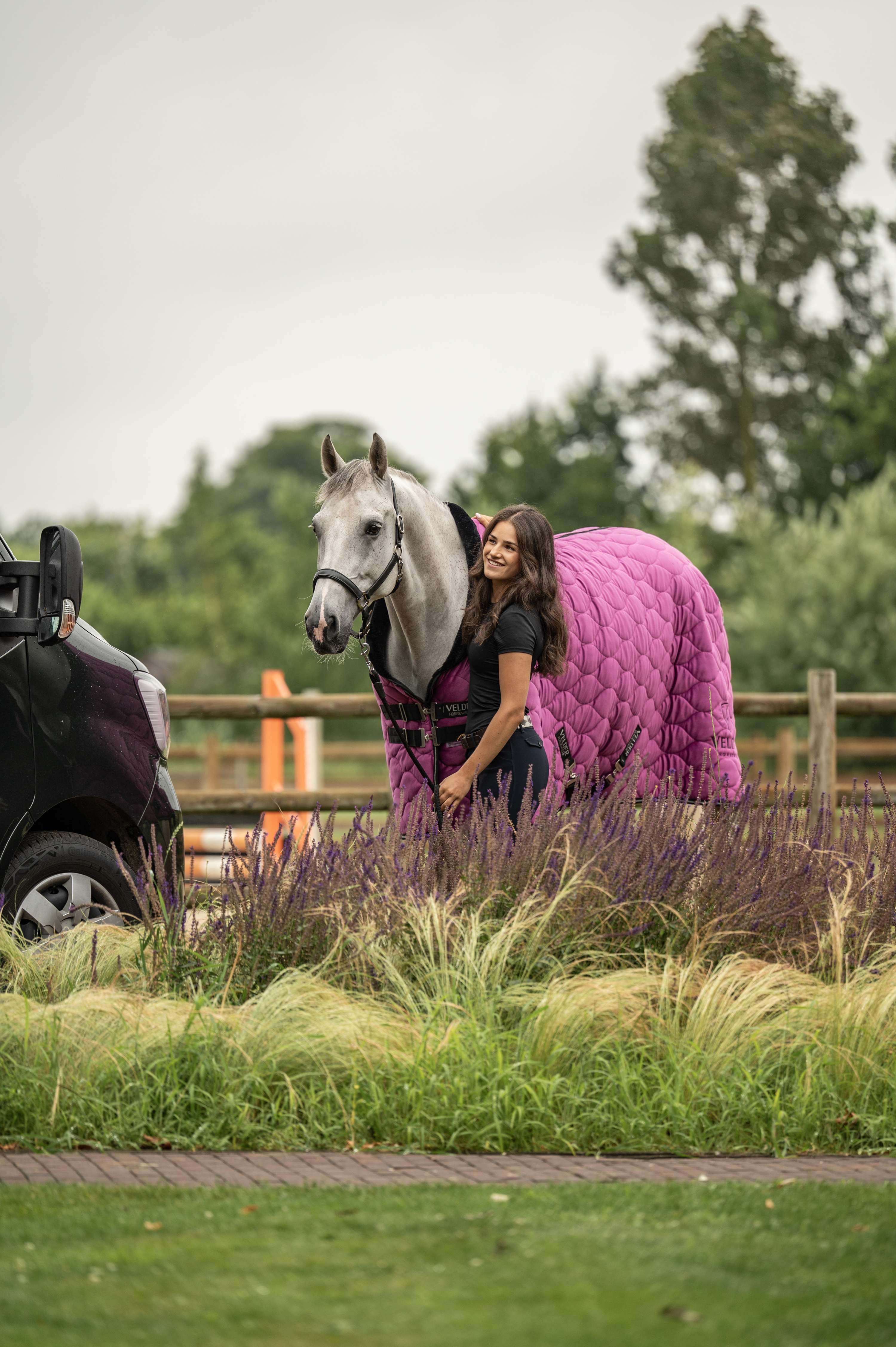 Velder Horsewear Premium Show Rug Satin Glow Dutch Raspberry
