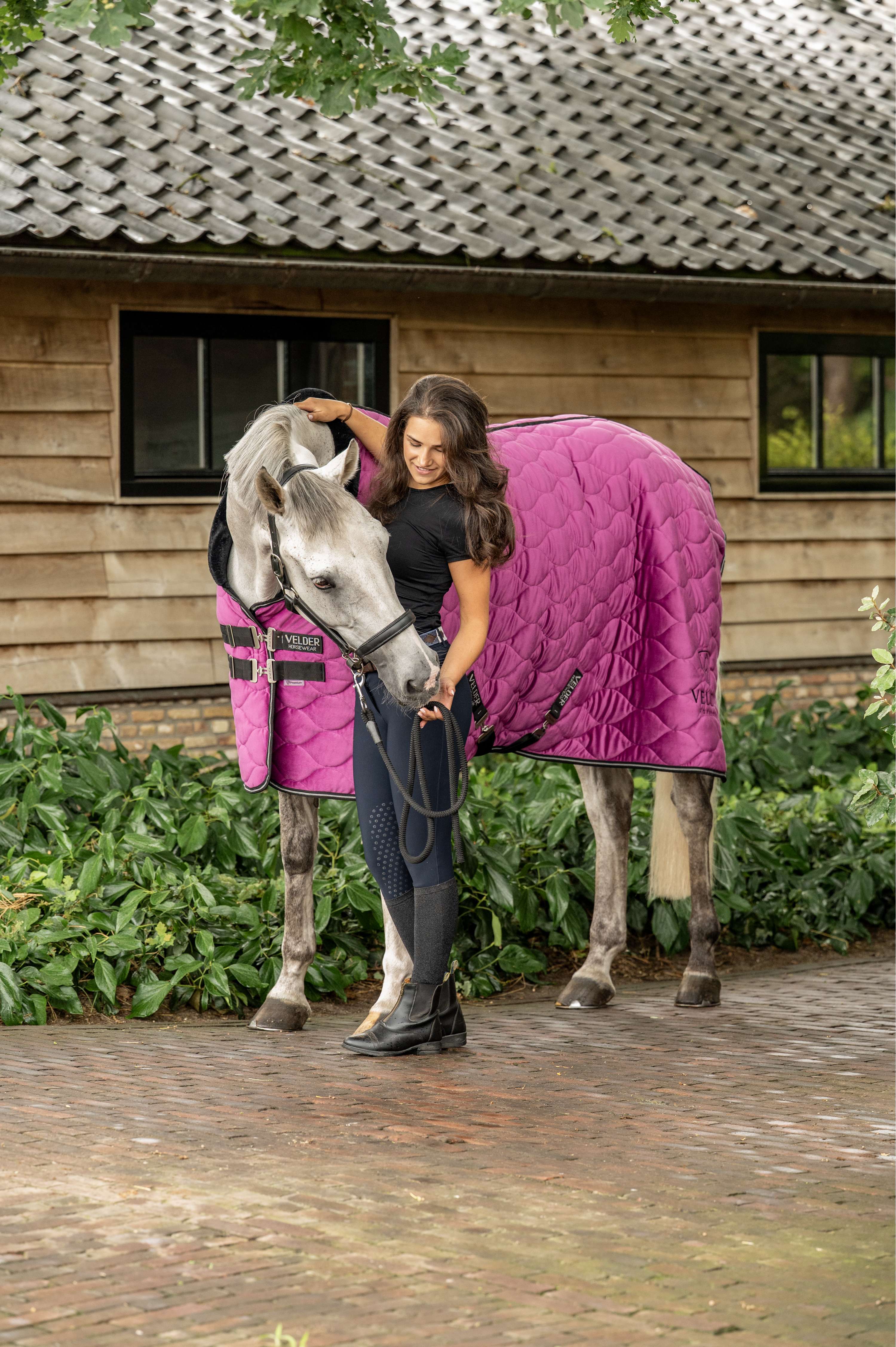 Velder Horsewear Premium Show Rug Satin Glow Dutch Raspberry