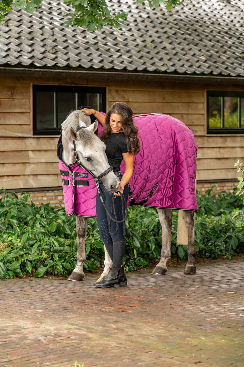 Velder Horsewear Premium Show Rug Satin Glow Dutch Raspberry