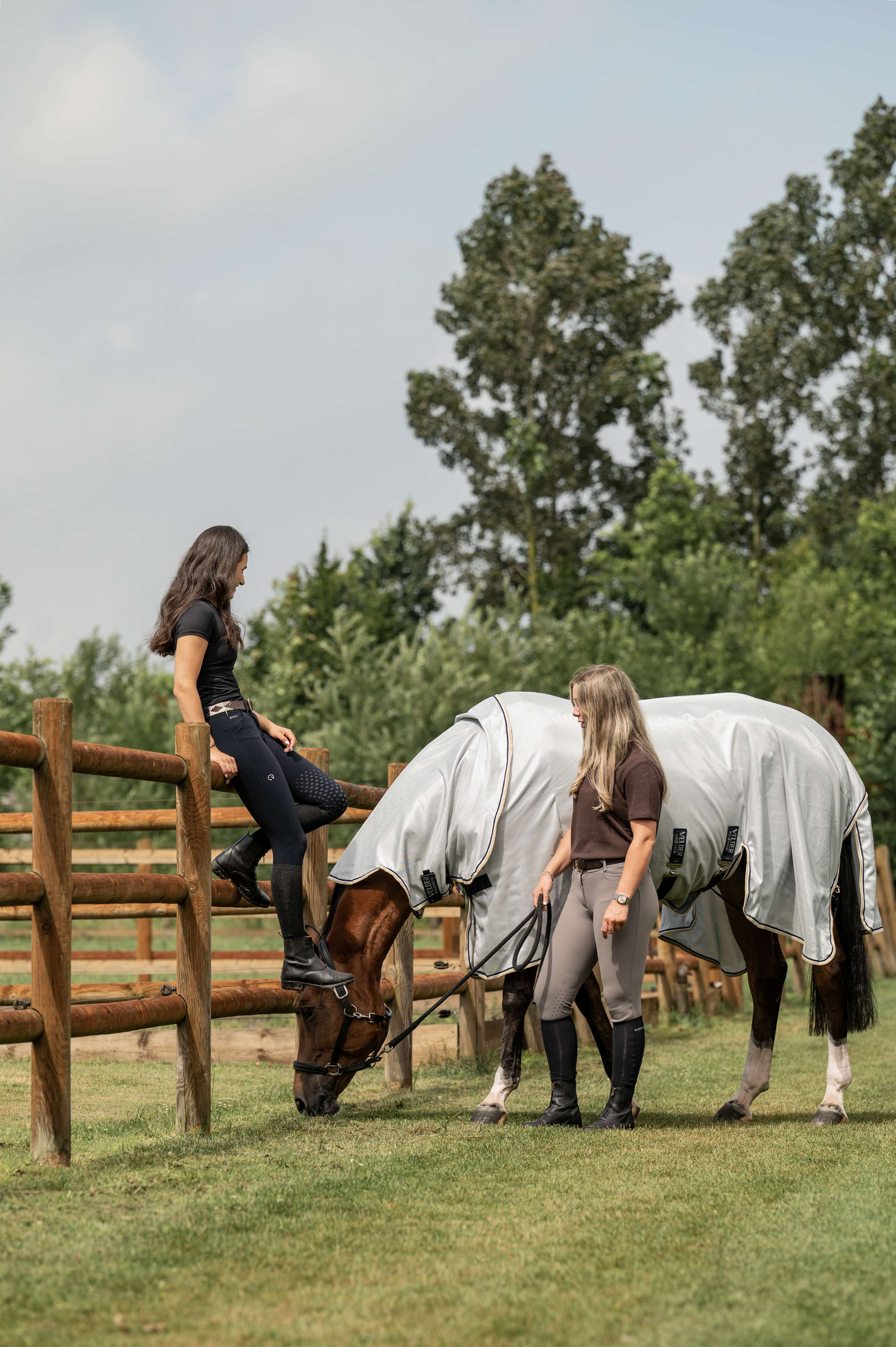 Velder Horsewear Premium Fly Rug Pearl Grey