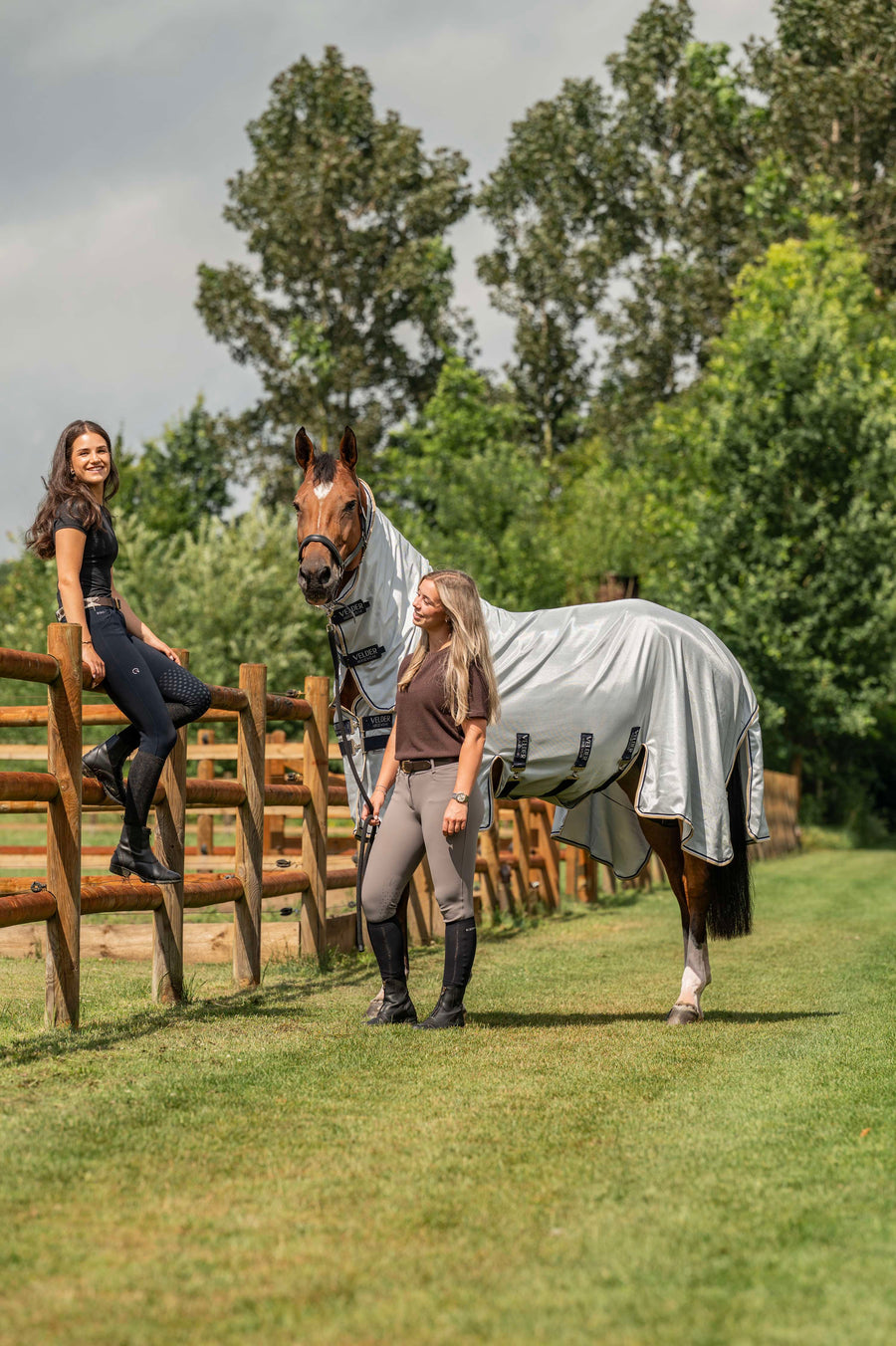 Velder Horsewear Premium Fly Rug Pearl Grey