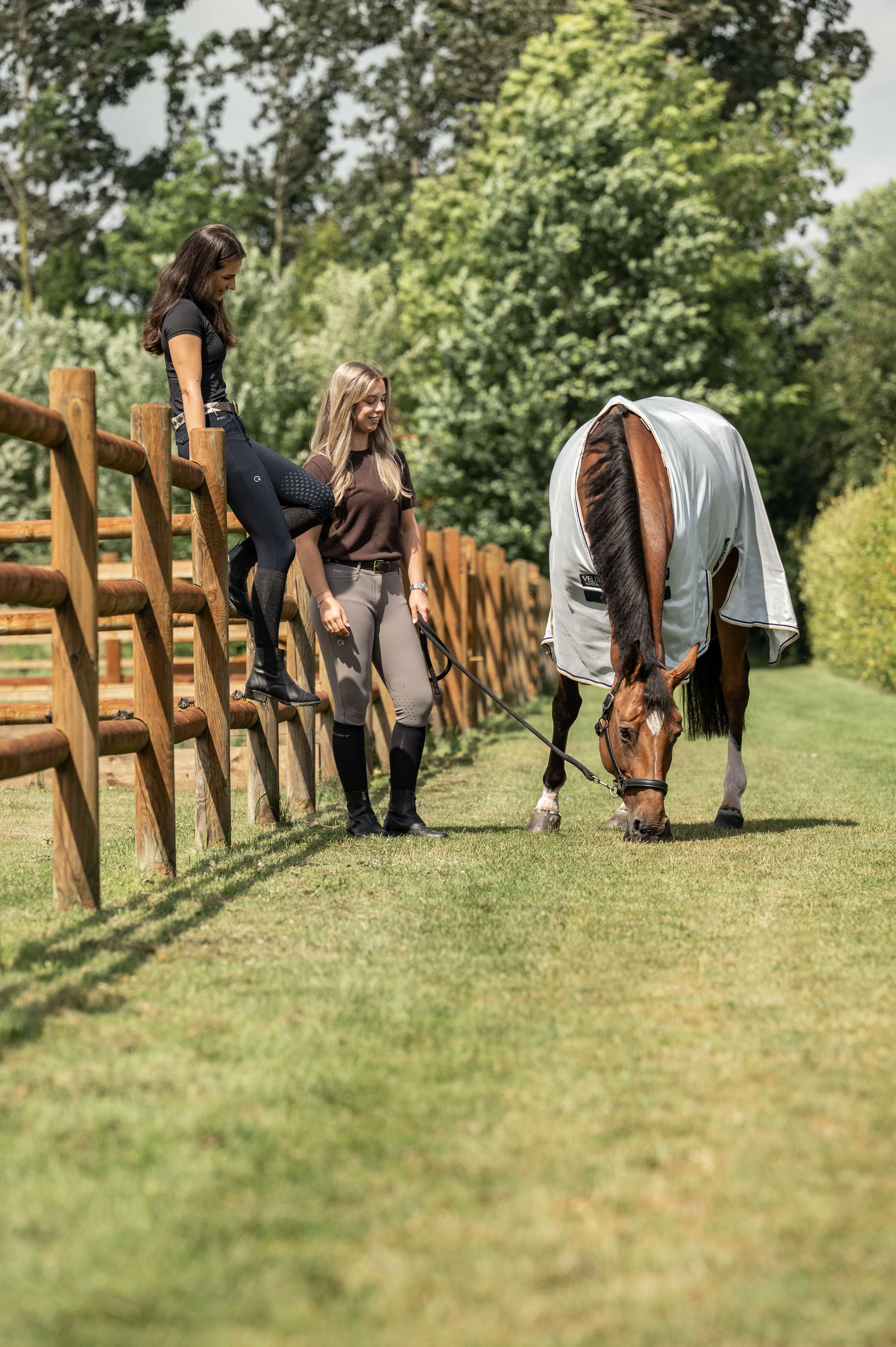 Velder Horsewear Premium Fly Rug Pearl Grey