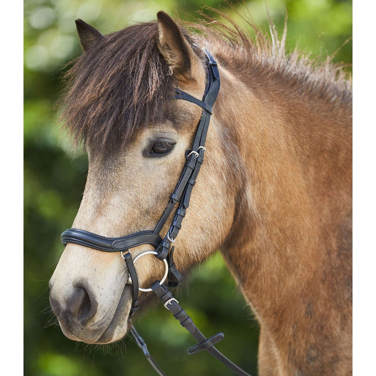 Waldhausen Icelandic Bridle Anatomic Black