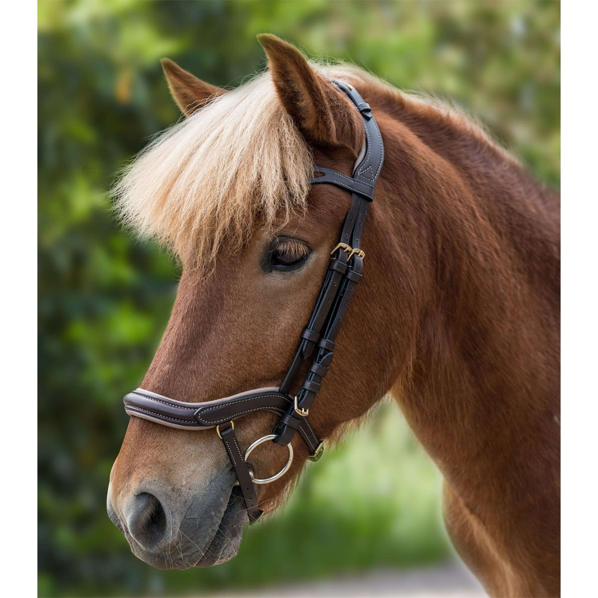 Waldhausen Icelandic Bridle Anatomic Brown