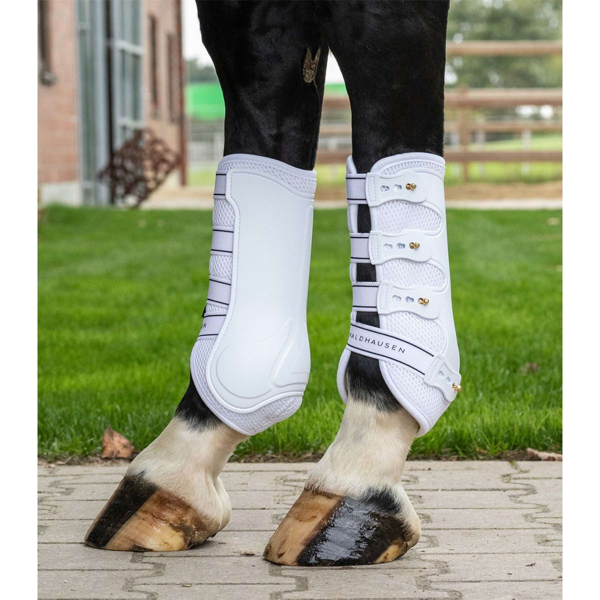 Waldhausen Tendon Boots Breath White