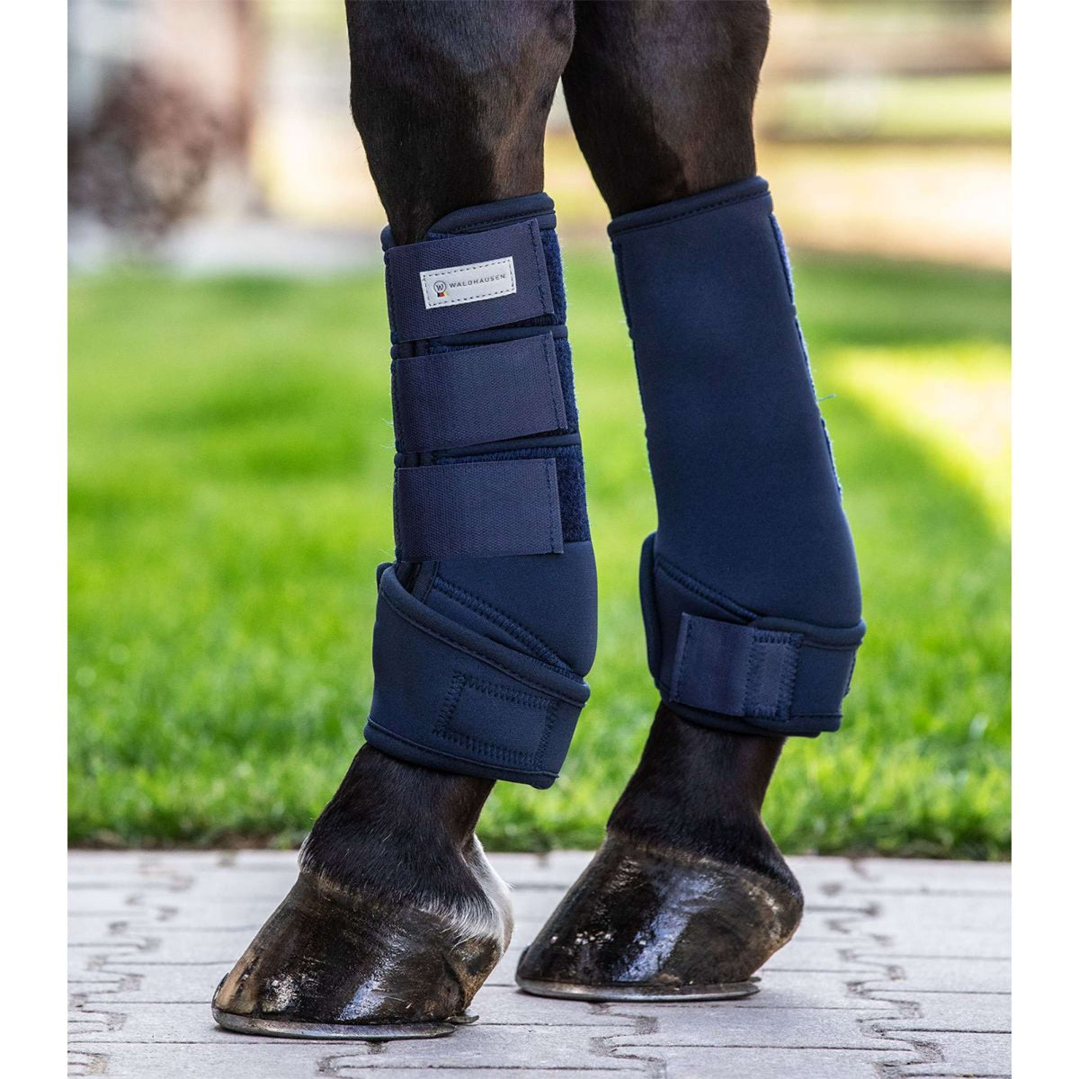 Waldhausen Leg protection Protect Nightblue