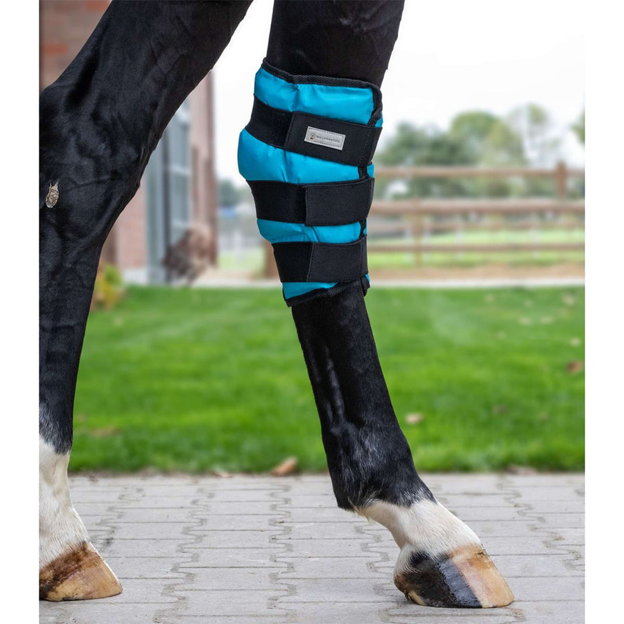 Waldhausen Health + Care Ice Boot Gel Hock Petrol