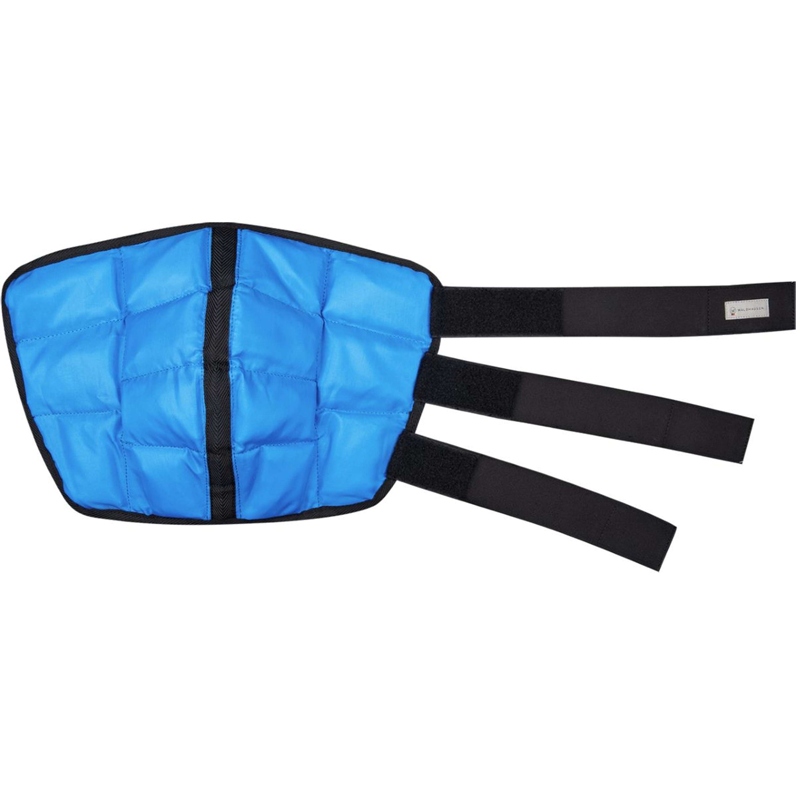 Waldhausen Health + Care Ice Boot Gel Hock Petrol